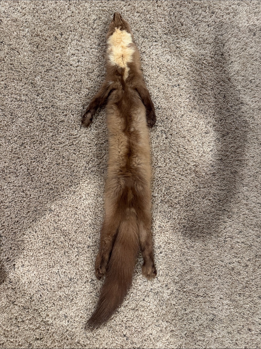 Mink Scarf/Stoll in excellent condition - Picture 4 of 4